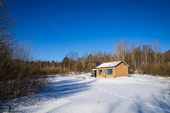 牡丹江雪乡的冬天白桦树下的雪地和红砖小屋图片