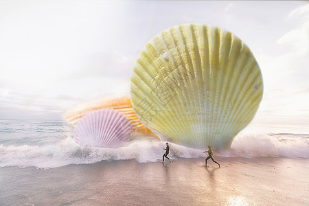 张开贝壳摄影图片 张开贝壳海报设计模板 张开贝壳创意图片 张开贝壳