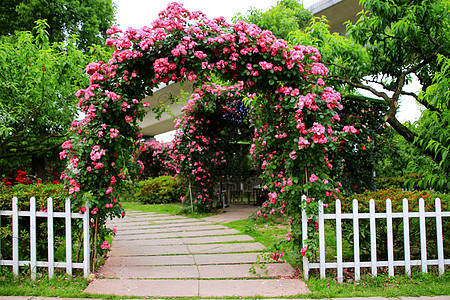 花拱门图片