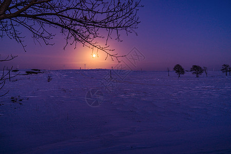 雪夜景背景 雪夜景摄影图片 雪夜景壁纸 摄图网 雪夜景背景 雪夜景摄影图片 雪夜景壁纸 摄图网