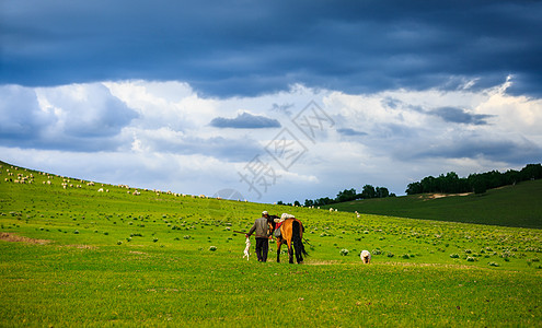 大草原上的牧羊人背景图片