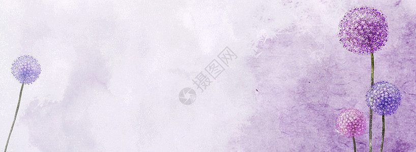 紫色蒲公英banner背景图片