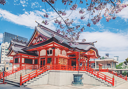 日本花园神社赏樱花背景图片