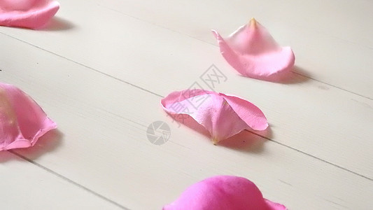 白色木地板上的粉色玫瑰花瓣背景图片