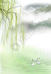 柳树下湖里的鸭子图片