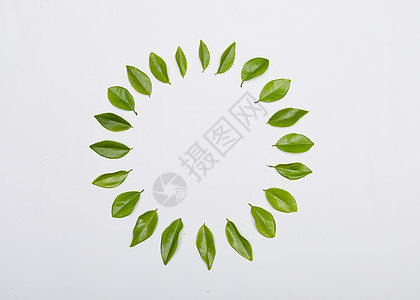 国庆节活动海报创意绿色树叶背景