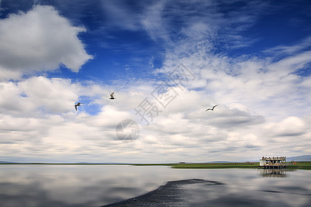 清新蓝天花湖背景