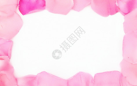 白底粉色红色玫瑰花瓣边框图片