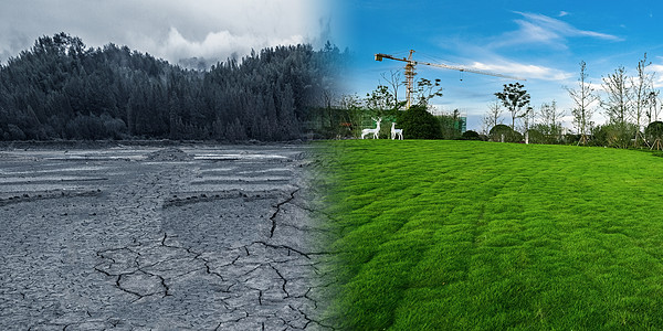 干枯的土地VS绿地图片