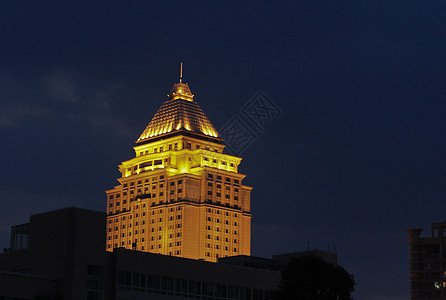 丽宫酒店夜景背景图片