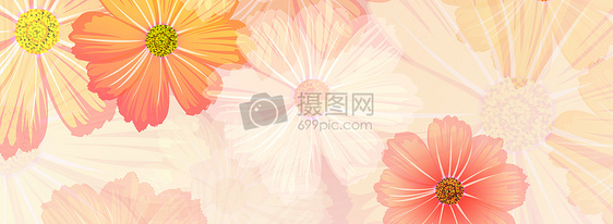 花卉banner图片
