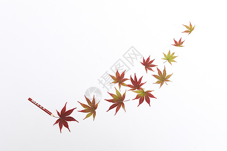 秋天插画创意枫叶造型背景