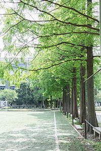 校园大学足球场草地绿的背景图片