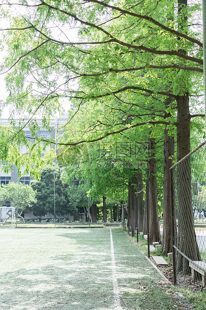 校园大学足球场草地绿的图片