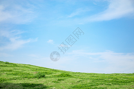 蓝天下的草坪图片