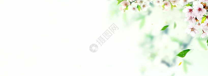 春banner图片