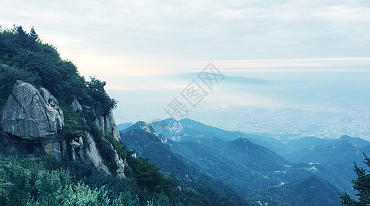 俯瞰树木井冈山背景