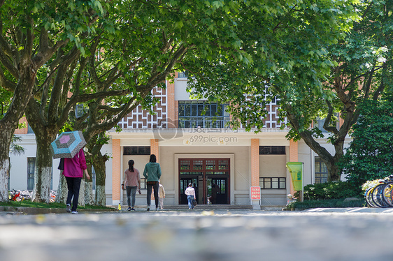 大学里的林荫道图片