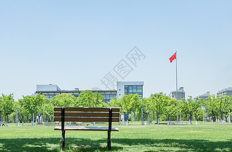 小区绿化毕业季配图校园林荫道背景