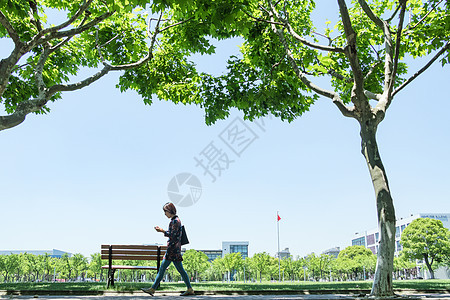 毕业季大学校园林荫道图片