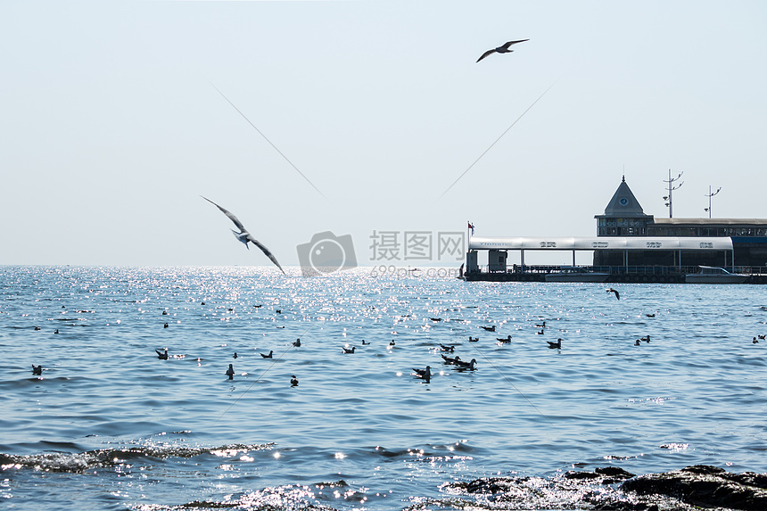 夏日风情图片