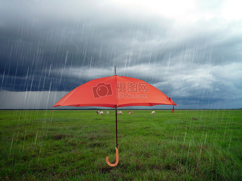 阴天雨伞图片