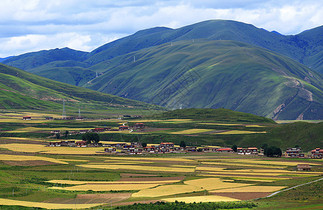 金色麦田图片