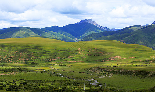 延绵辽阔的西藏草地图片