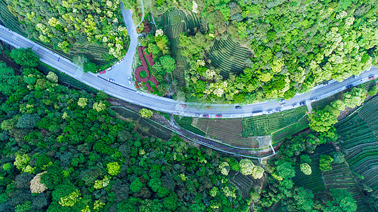 茶叶路素材航拍梅家坞绿色茶园背景