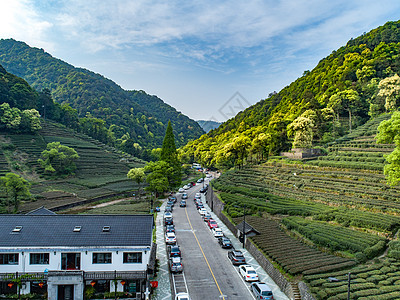 航拍梅家坞绿色茶园背景图片