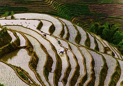 红领巾之歌劳动者之歌背景