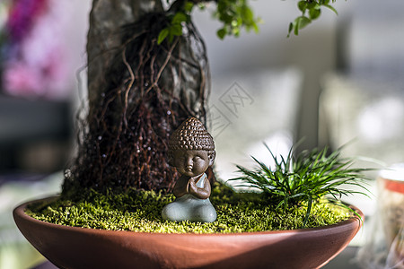 禾雀花图片 禾雀花素材 禾雀花高清图片 摄图网图片下载
