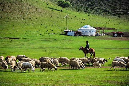 草原上的牧羊人图片