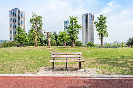 上海松江中央公园背景图片