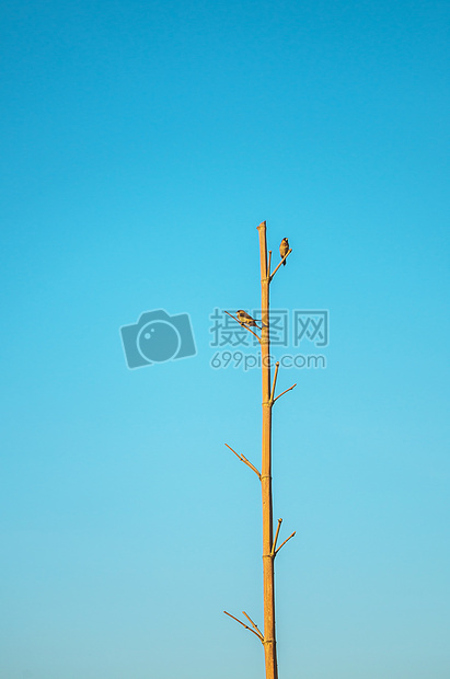 多彩天空图片