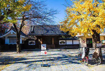 城市秋景日式庭院秋景背景