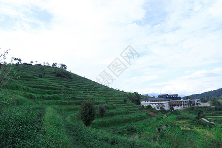 茶香四溢茶海报茶香四溢背景