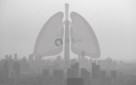 雾霾中的肺图片