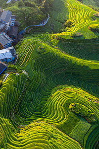 校园鸟瞰图校园与桂林的风光背景