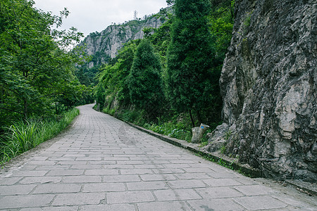 景区内清新公路风景背景图片