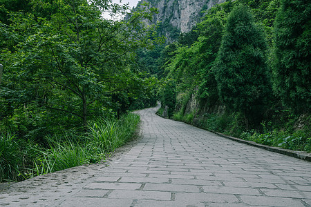 景区内清新公路风景背景图片