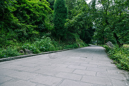 夏季清新景区内清新公路风景背景