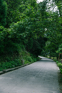 景区内清新公路风景背景图片