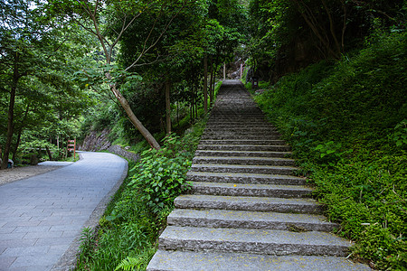 景区内清新自然山路和公路背景图片