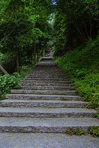 景区内清新自然幽静登高山路背景图片