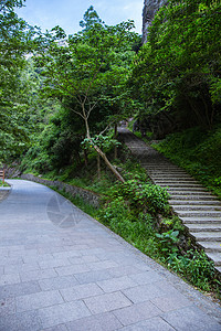 景区内清新自然山路和公路背景图片