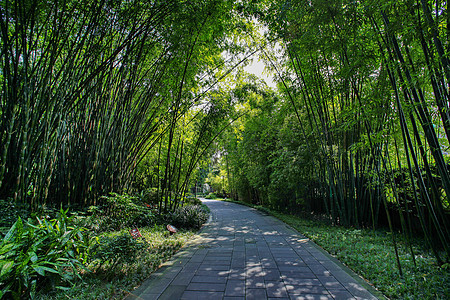 成都背景图片