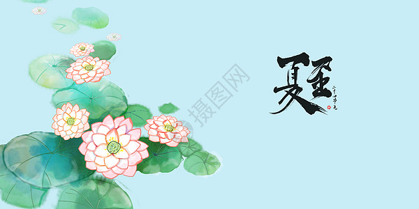 古风插画素材夏至荷花水墨背景图设计图片