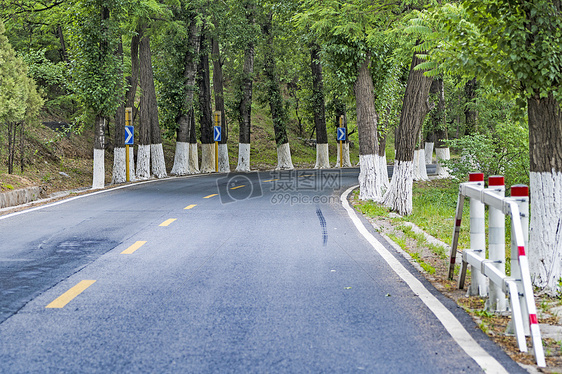 林间公路图片