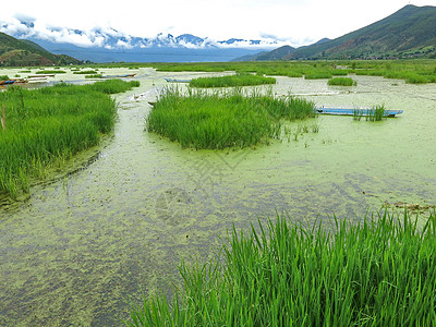 彩色伞田云泸沽湖背景